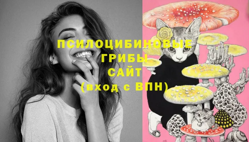 Галлюциногенные грибы MAGIC MUSHROOMS Зарайск